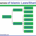 803 – 043 – Muslims And Politics In The West